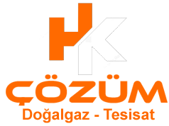 Logo Alanı